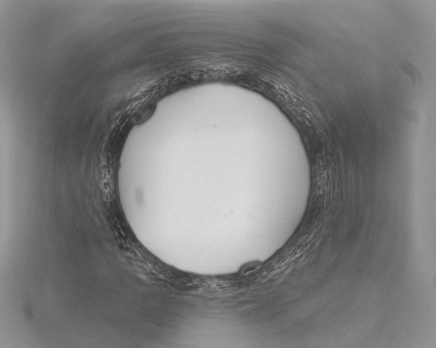 X0000115631109200912011434