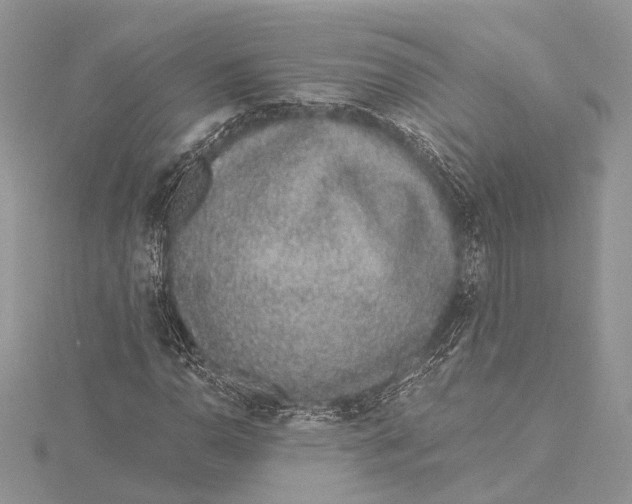 X0000115631110200912011434