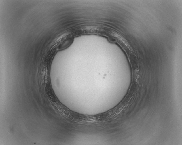 X0000115631111200912011434