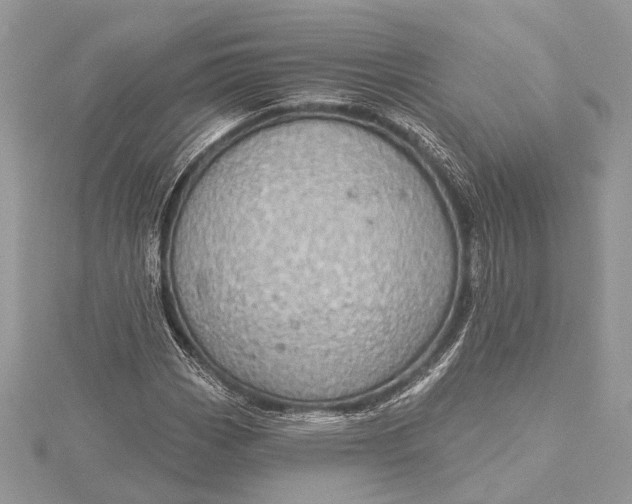 X0000115631113200912011434