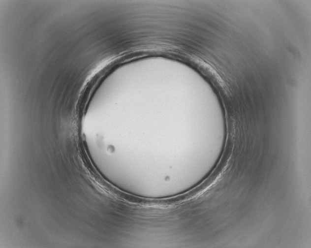 X0000115631114200912011435