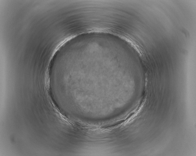 X0000115631117200912011435