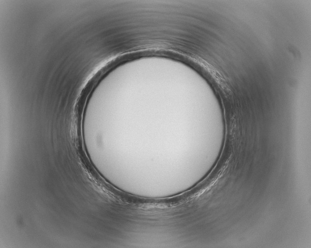 X0000115631118200912011435