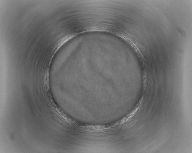 X0000115631121200912011435