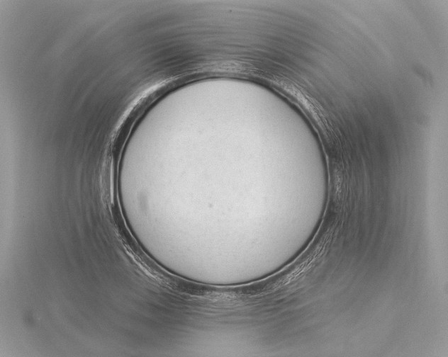 X0000115631123200912011435