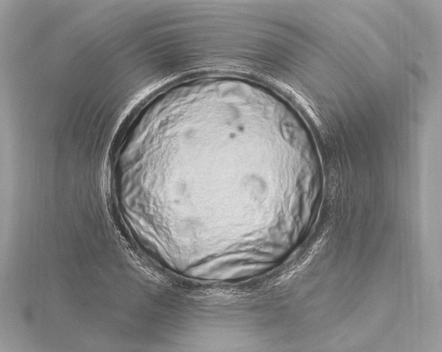 X0000115631125200912011435