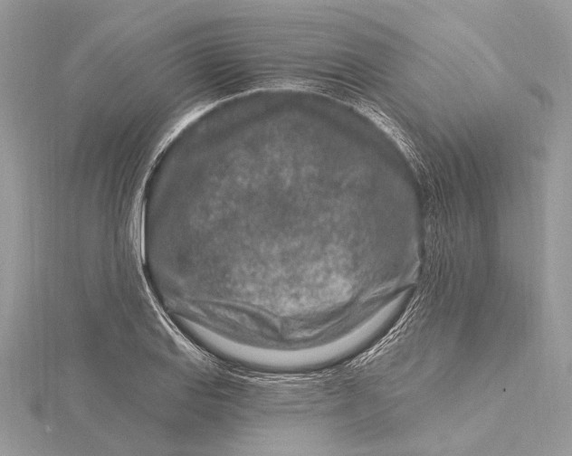 X0000115631127200912011435