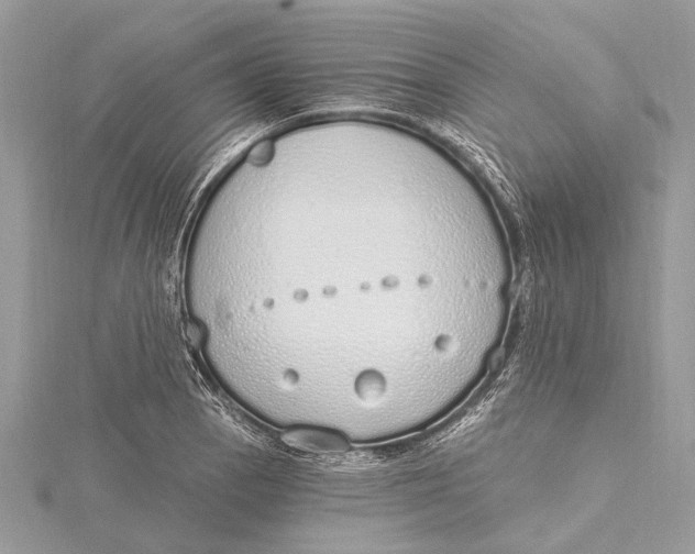 X0000115631129200912011435