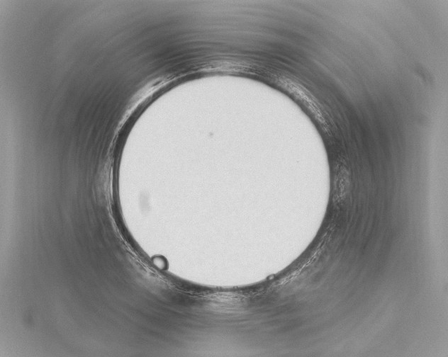 X0000115631130200912011435