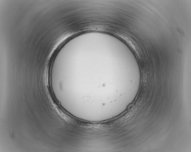 X0000115631131200912011435