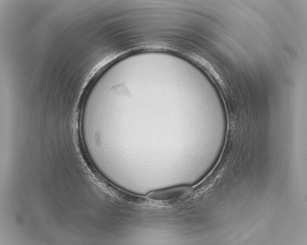 X0000115631133200912011435