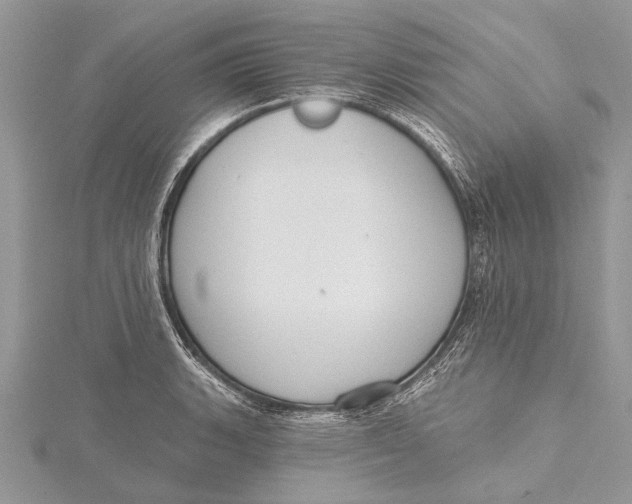 X0000115631135200912011435