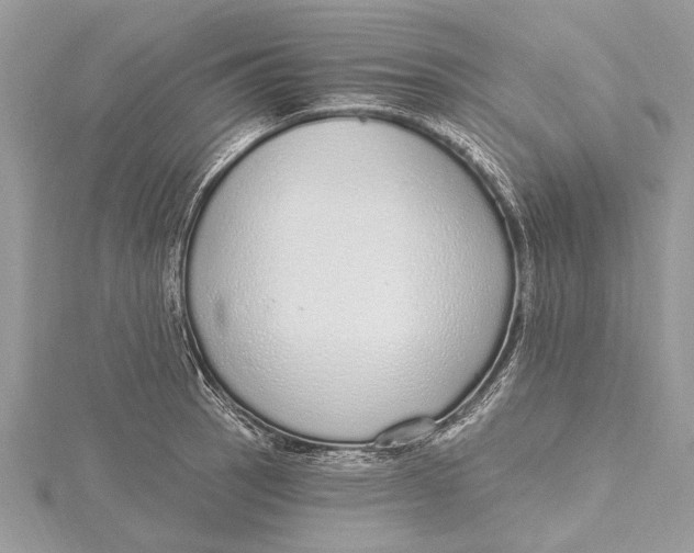 X0000115631137200912011435