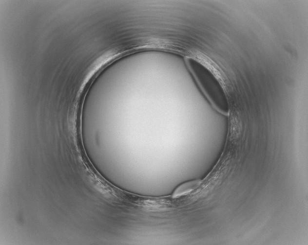 X0000115631138200912011435