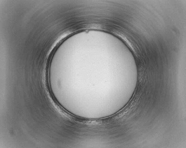 X0000115631139200912011435