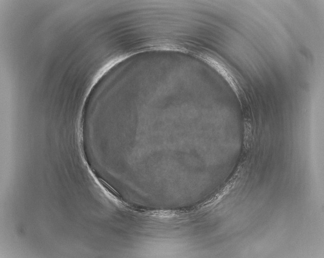 X0000115631141200912011435