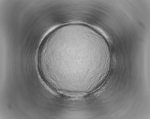 X0000115631142200912011435