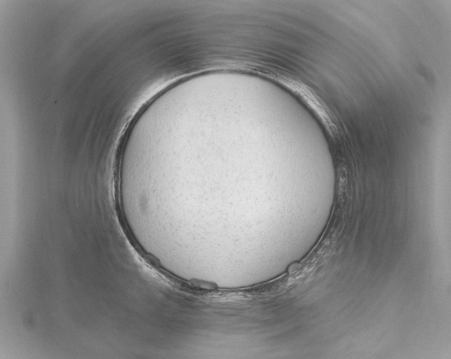 X0000115631143200912011435