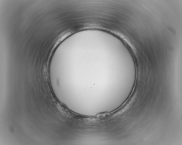 X0000115631145200912011435