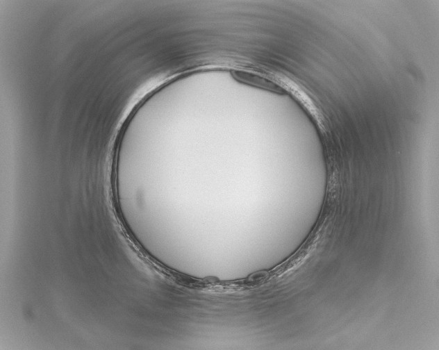 X0000115631146200912011435