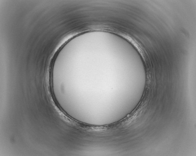 X0000115631147200912011435