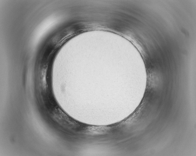 X0000115631150200912011435