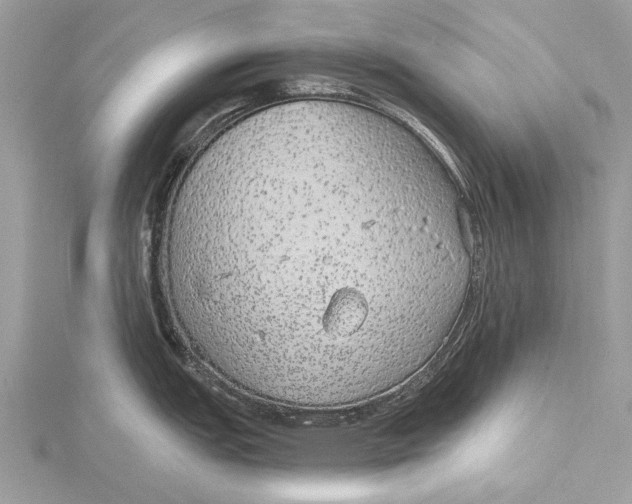 X0000115631151200912011435