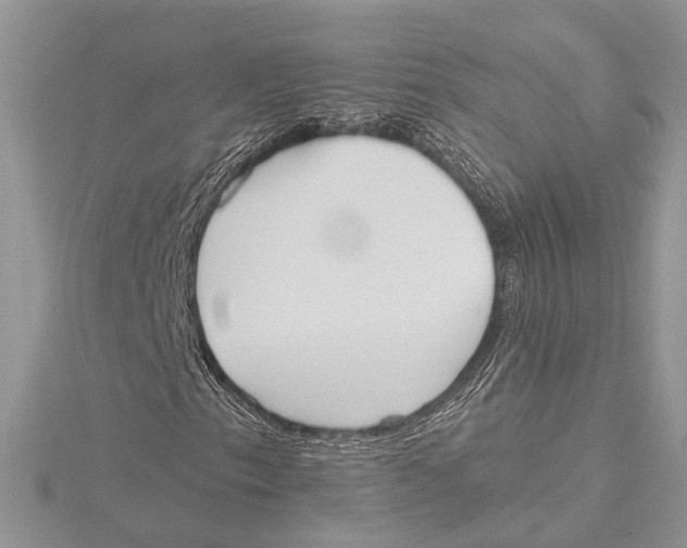 X0000115631153200912011434