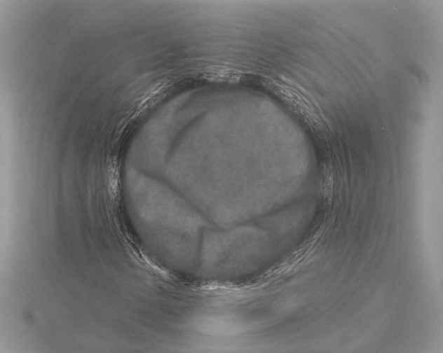 X0000115631154200912011434