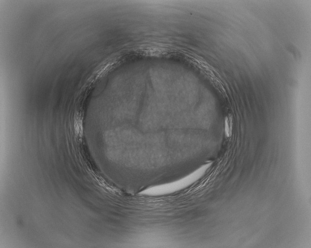 X0000115631155200912011434