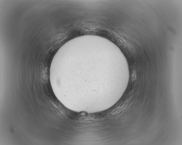 X0000115631156200912011434