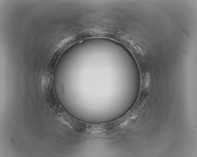 X0000115631157200912011434