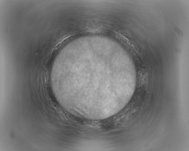 X0000115631158200912011434