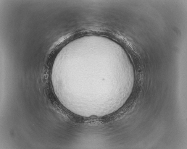 X0000115631159200912011434