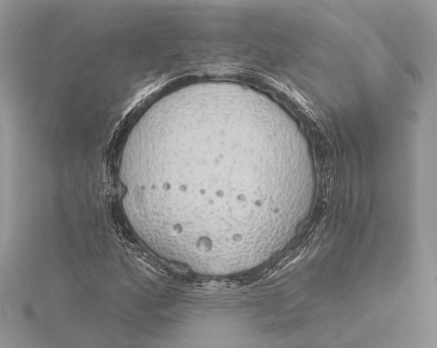 X0000115631160200912011434