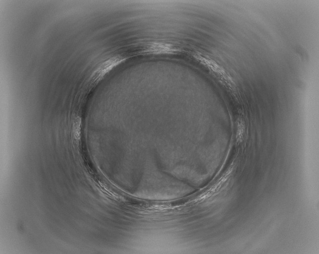 X0000115631161200912011434