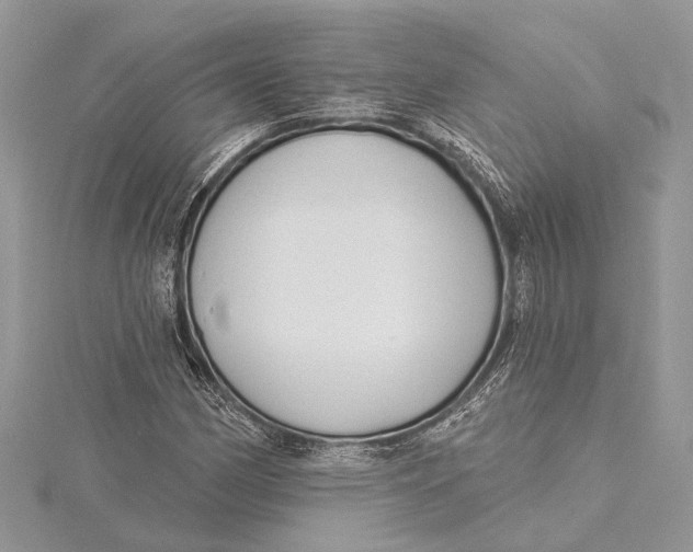 X0000115631162200912011434