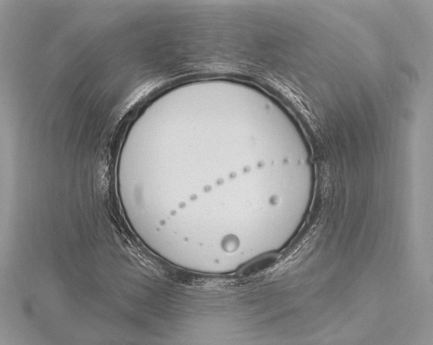 X0000115631163200912011434