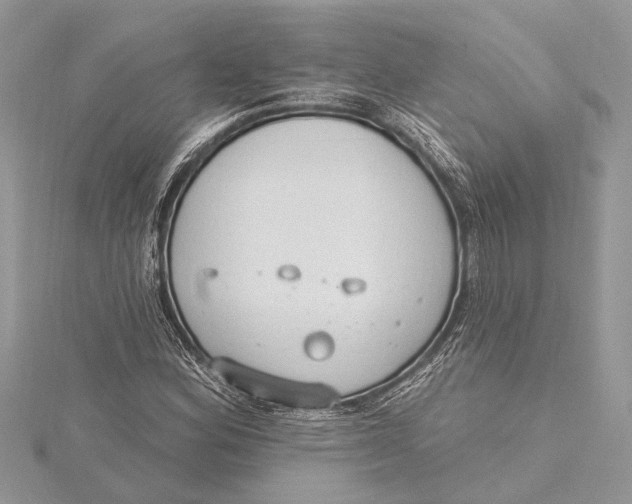 X0000115631164200912011434