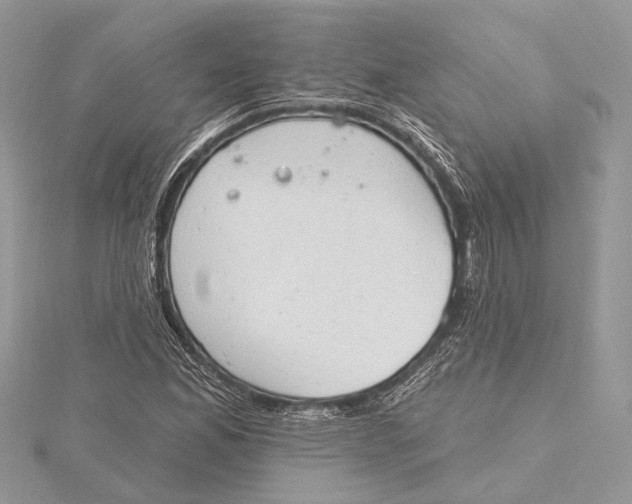 X0000115631165200912011434