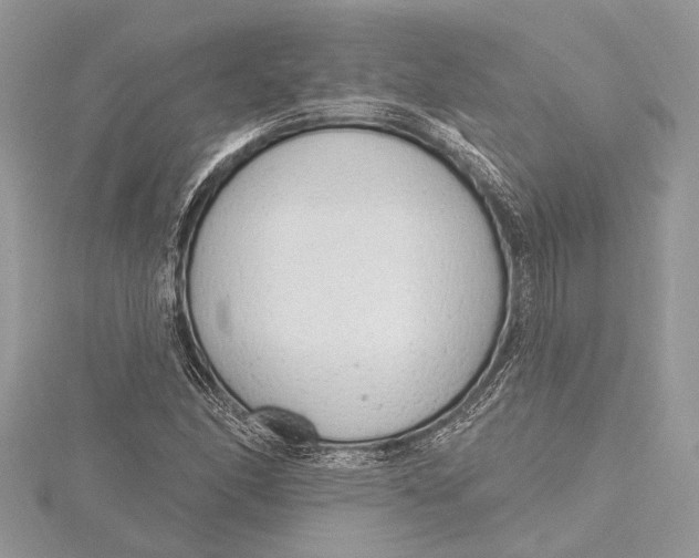 X0000115631166200912011434