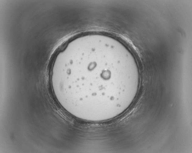 X0000115631167200912011434