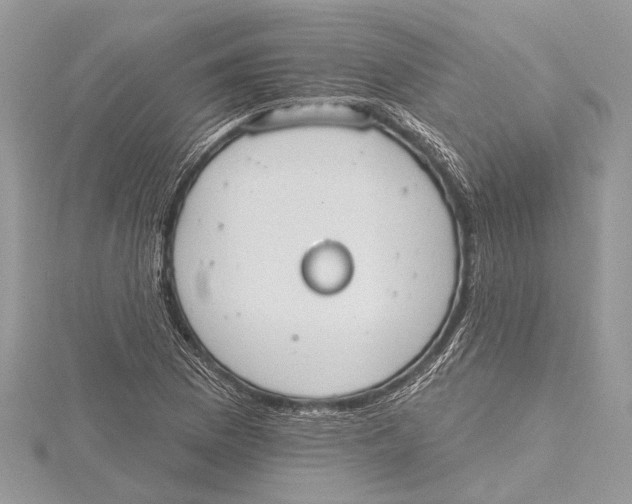 X0000115631169200912011434