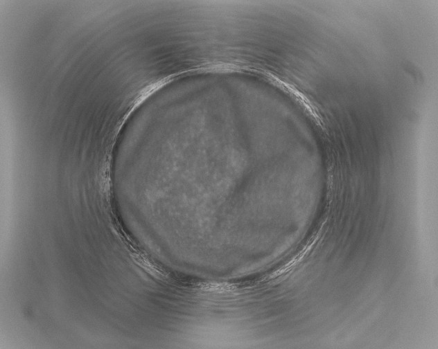 X0000115631170200912011434