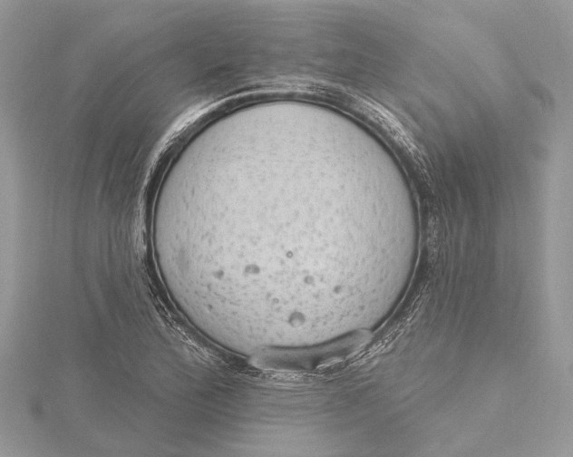 X0000115631172200912011434