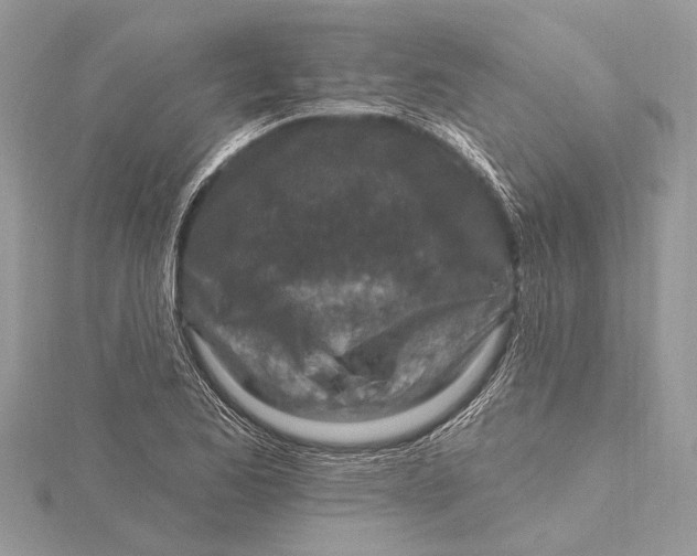 X0000115631173200912011434