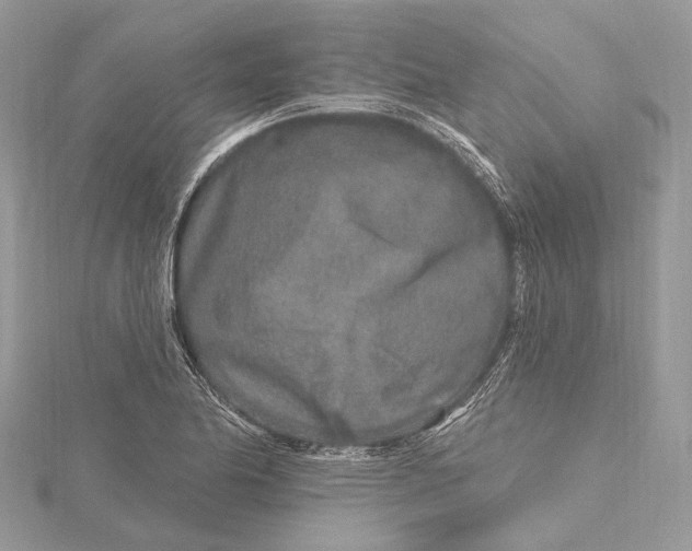 X0000115631174200912011434