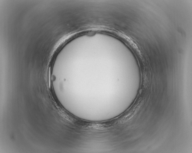 X0000115631175200912011434