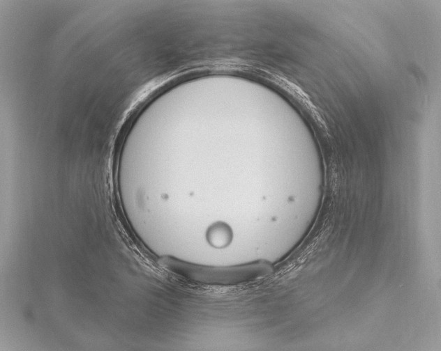 X0000115631176200912011434