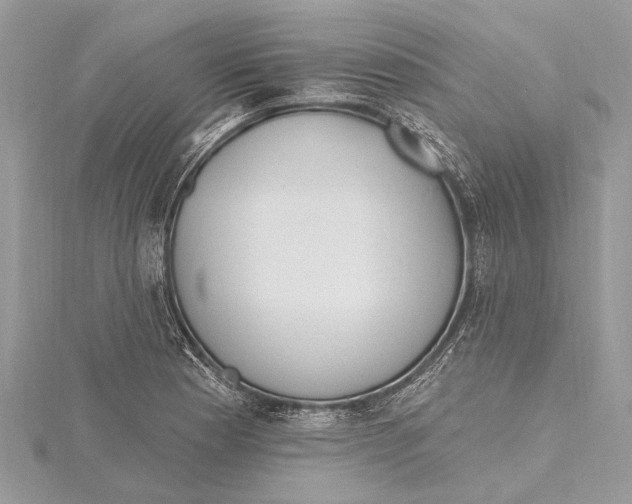 X0000115631177200912011434